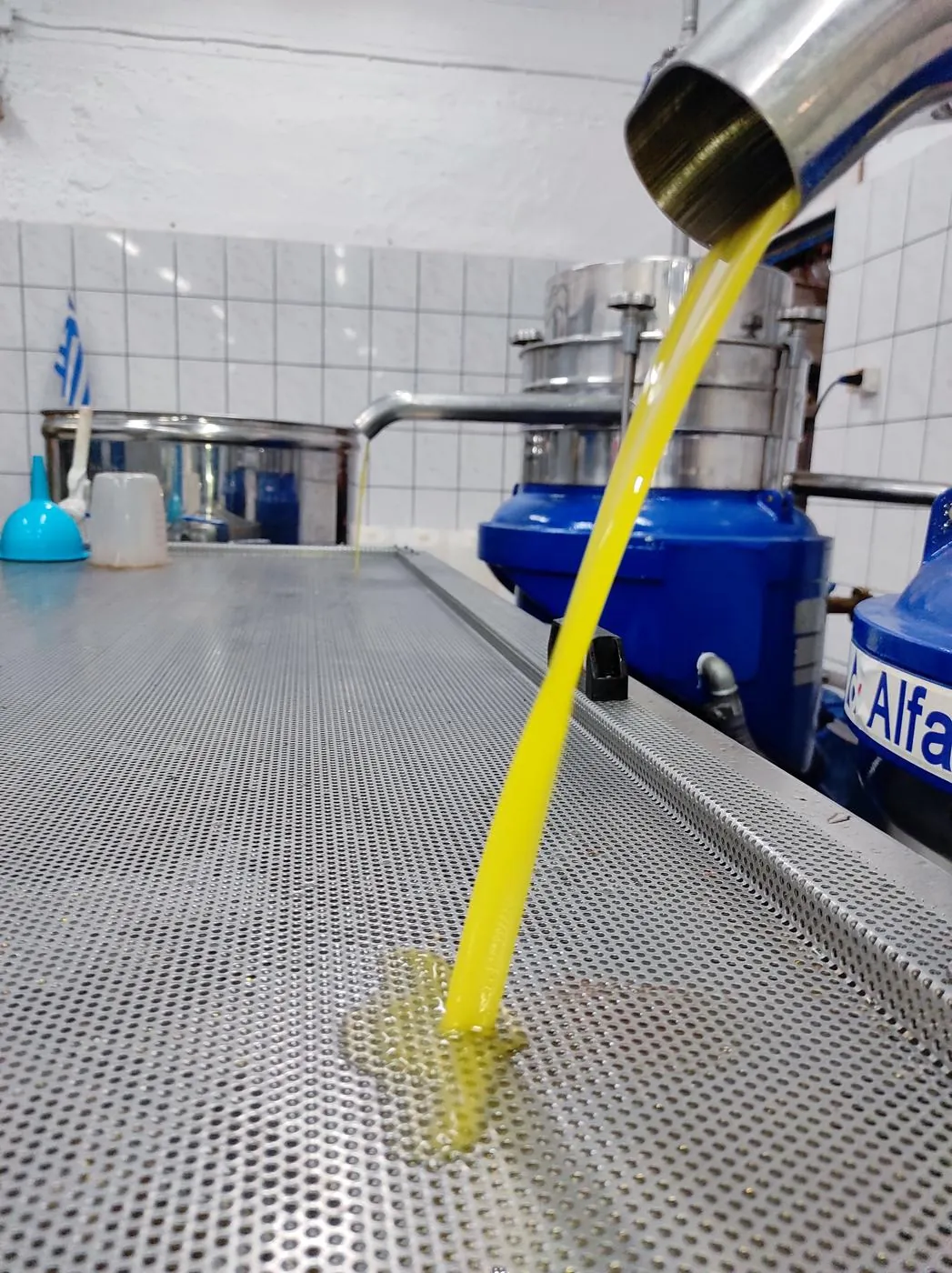 Fresh olive oil pressing