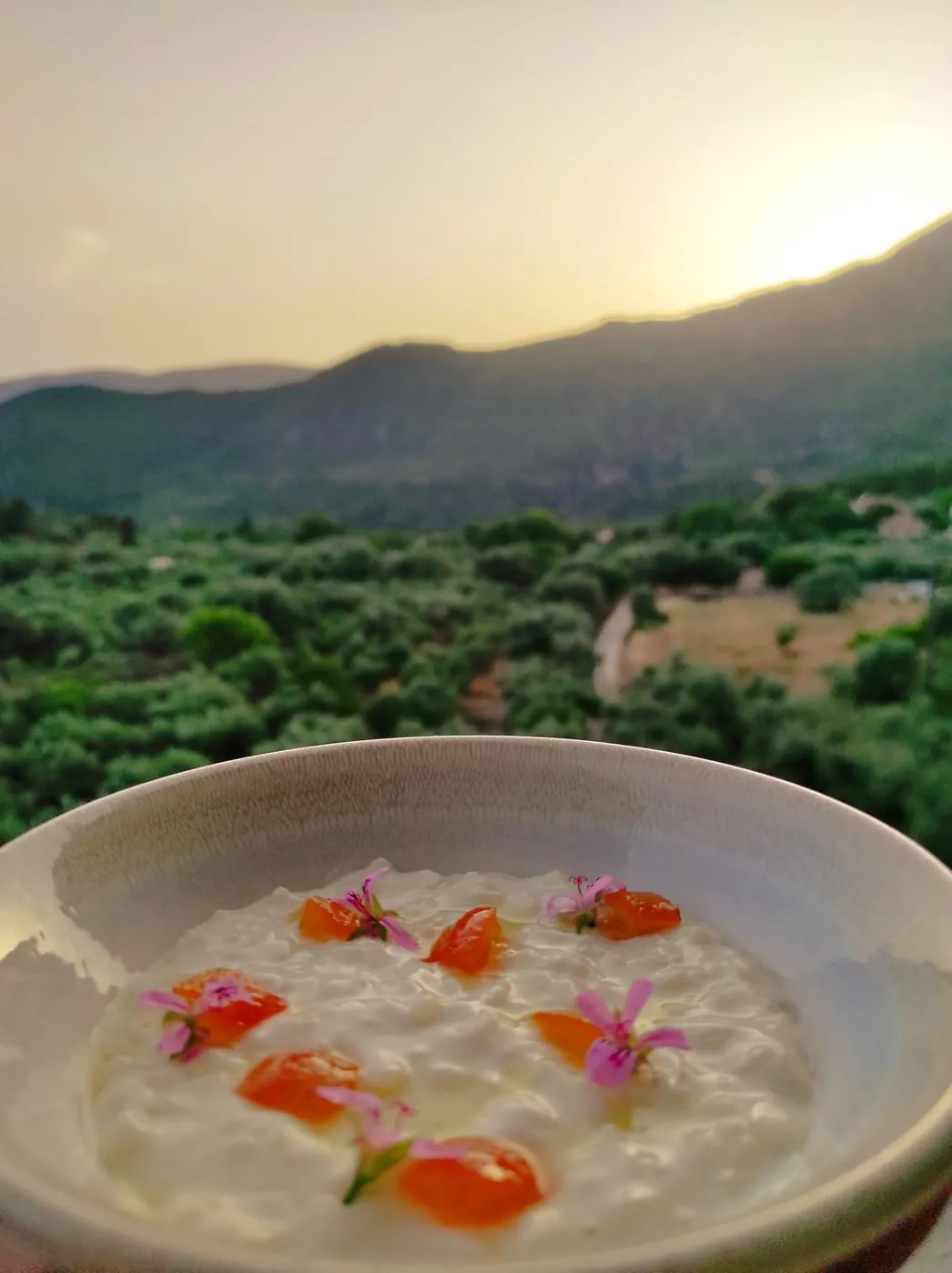 Rice pudding with sunset